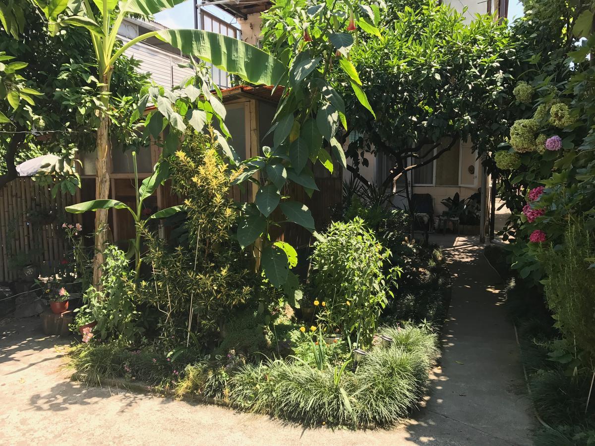 Частный Дом У Моря Gagra Exterior photo